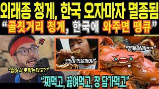 [해외감동사연]바다의 무법자 톱날꽃게의 한국 입국 실수...도망쳤어야했다 천적은 한국에..