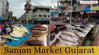 Sanjan market Gujarat/Sanjan bajar/Sanjan fish market/@Pramod M Vlogs