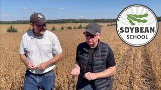 Soybean School: No-till works but a little tillage can help