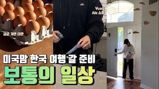 미국일상 | 캘리포니아 주부 보통의 일상 | 한국갈 준비, Vuori, Alo에서 선물 쇼핑, 금값 계란, 잘 자라는 잔디, 샐러드 뷔페, Daily life in the US