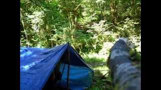 Father daughter camp