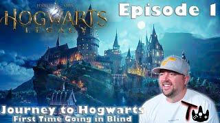 Hogwarts Legacy Ep1 / Journey to Hogwarts / First Time Blind Playthrough