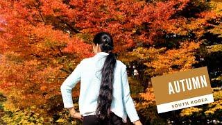 Autumn in South Korea : Marks the transition from warm to cold weather.