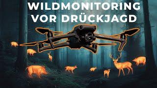 LOHNT sich deine Drückjagd? Die Drohne verrät es dir! (Jagd 2024)