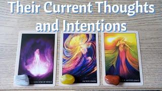 What Are Their CURRENT Thoughts and Intentions?Pick a Card: ️Timeless Love Tarot️