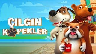 Çılgın Köpekler Animasyon Filmi İzle | Animasyon Filmler