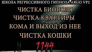 Чистка биополя | Чистка квартиры | Кома и выход из нее | Чистка кошки | @ARGOVP2