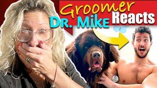 I could not GROOM this GIANT DOG in a tiny New York apartment