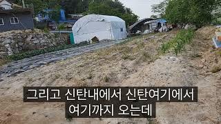 주변 시세보다 저렴한 대덕구 이현동 토지매매