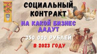 На какой бизнес дадут деньги по соцконтракту в 2023 году. Разбираем виды