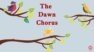 [Animation] Famous Story: The Dawn Chorus 黎明合唱團/Story for kids/Bedtime story兒童睡前故事