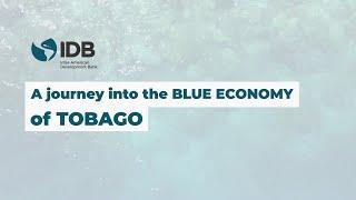 A Journey into the Blue Economy of Tobago