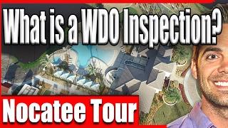 What is a WDO Inspection