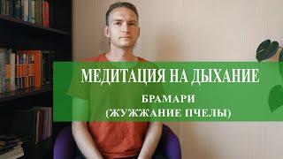 Медитация на дыхание. Брамари (жужжание пчелы)