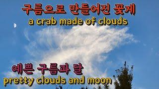 구름 여행가 (13) a cloud traveler