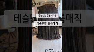 곱슬있는 단발이라면 테슬단발 볼륨매직 하세요