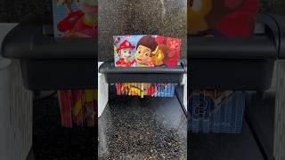 PAW Patrol Shredding #shredded #asmr #shredder #colors #cutting #amazing #pawpatrol #shorts