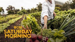 Inspiring farm-to-table fare | The Dish Full Episode