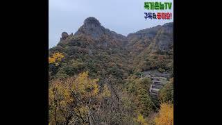 우리 동네 뒷산 단풍 경치 찢었다                                               (신선이 살 것 같은 신세계 탐험)