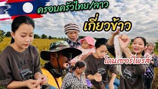 ครอบครัวไทย/ลาว น้องคำผาง/โดนเซอร์ไพรส์ตั้งแต่เช้าไม่คิดว่าจะได้เยอะขนาดนี้! #สาวลาว #วิถีชาวบ้าน