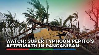 Super Typhoon Pepito's aftermath in Panganiban, Catanduanes | ABS-CBN News