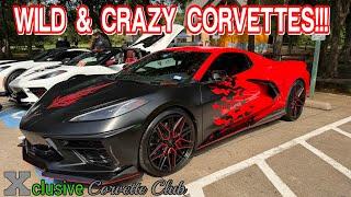 So Many WILD CORVETTES HERE!! All CORVETTE CAR SHOW