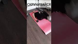 4 УПРАЖНЕНИЯ ДЛЯ ВСЕГО ТЕЛА ЗА 5 МИНУТ( без инвентаря) #спорт #какнакачатьспину #тренировкадома