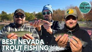 Best Trout Fishing Spots in Nevada, Veterans Memorial Pond