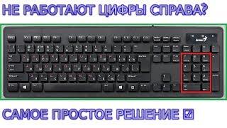 Не работают цифры на клавиатуре справа в компьютере, ноутбуке Узнайте, как включить цифры на клавиат