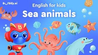 Sea Animals | Kids vocabulary | Learning English for Kids | Buddy.ai