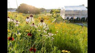 Garden Design in Under 2 Minutes