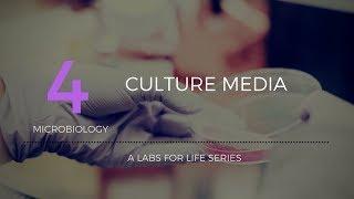 Culture Media