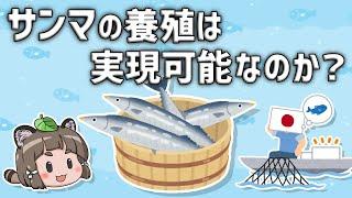 【不漁続き】サンマの養殖は実現可能なのか？