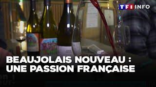 Beaujolais nouveau : une passion française｜TF1 INFO