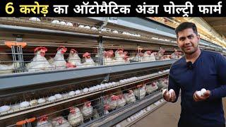 इस पोल्ट्री फार्म पर रोज होती है अंडे  की बारिश | 100 % Automatic Poultry Farm