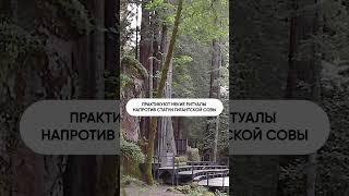 3 случая, когда конспирологи оказывались правы #конспирология #политика #ЦРУ #США #Америка
