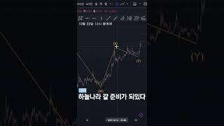 남들 다 숏 볼 때 빅롱 먹어버리기 #비트코인 #엘리어트파동 #이중강세조정