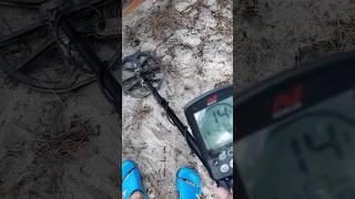 Aluminum Crap Again? Metal Detecting Strikes Out! #metaldetecting #equinox600 #beachfinds #profind15