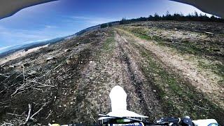 What happened to the TREES!?! - DIRT BIKE RIDING on TE300