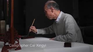 Decoding Chinese Calligraphy