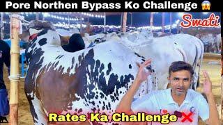 Northern Bypass Mandi 2025 Ki Sab Se Bari Sale Mandi Ki  || Loot Lo Offer || Cow Mandi 2025
