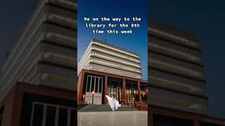 Late nights in the Library
