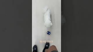 축구왕 안덕구(강휴지) #shorts