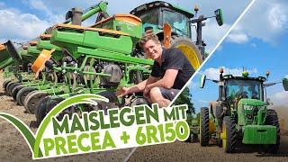  Maislegen 2024 mit Amazone Precea 6000: Grenzen, technische Details, Fahrbericht 