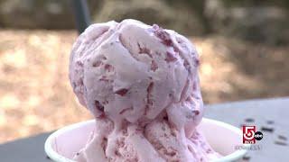 See how ice cream is made at this Massachusetts farm