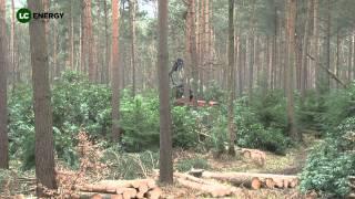 Sustainable woodland management