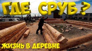 Где сруб дома ? [Жизнь в деревне]