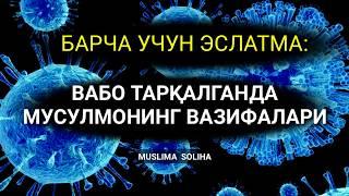 ҚЎРҚУВ,  ВАҲИМА БОСЯПТИМИ? ТИНГЛАНГ! БИЗ ҲОЗИР НИМА ҚИЛИШИМИЗ КEРАК?