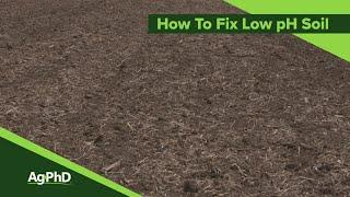 Fixing Low pH Soils (From Ag PhD #1116 - Air Date 8-25-19)