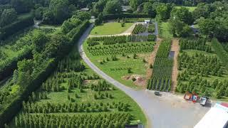 Pryor's Nursery Evergreen Tree Farm